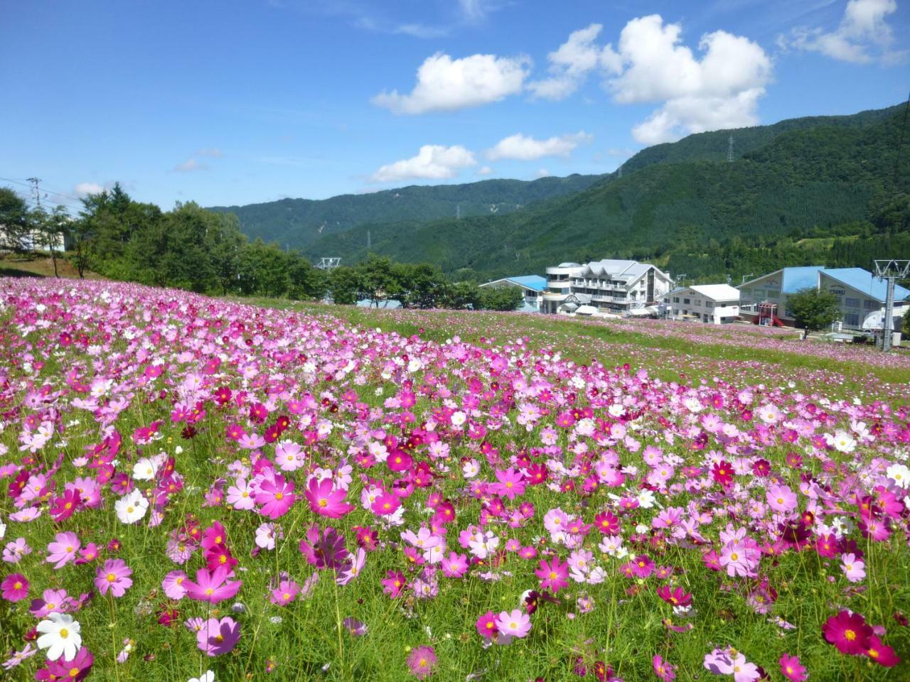 Joyful Honoki Hotel Takayama  Exterior foto